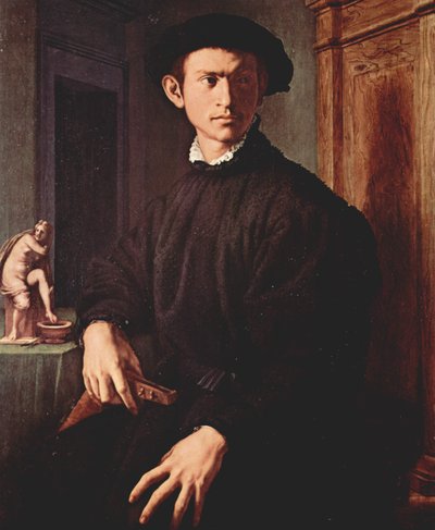 Portrait of a Young Man with a Lute by Agnolo Bronzino